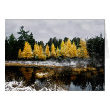 El oro final del otoño: Tarjeta