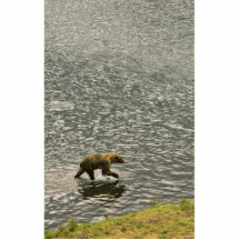El oso de Brown vadea a través del agua Escultura Fotografica