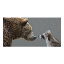 El oso Grizzle resuelve el mapache Tarjeta Fotografica Personalizada