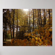 El otoño colorea el poster