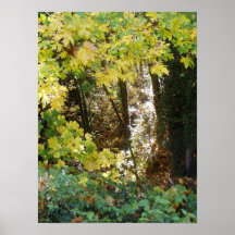 El otoño Sun irradia #2 Impresiones