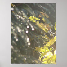 El otoño Sun irradia #53 Poster