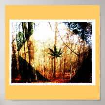 El Outdoorsman Impresiones
