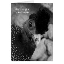 El pájaro divertido "me llama por favor!" Tarjeta 