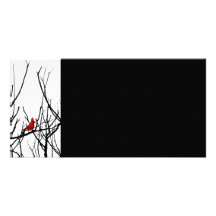 El pájaro rojo por las pimientas de Leslie Tarjeta Fotografica