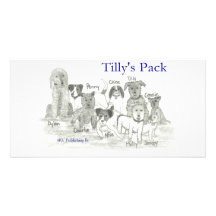 El paquete de Tilly Tarjeta Con Foto Personalizada