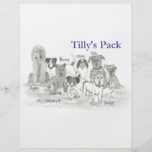 El paquete de Tilly Tarjetas Publicitarias