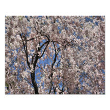 El paraguas de la primavera florece el estampado d arte fotográfico