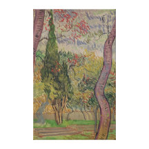 El parque en el hospital de San Pablo, 1889 Lienzo Envuelto Para Galerias