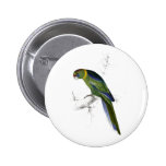 El Parrakeet de Barnard de Edward Lear Pins