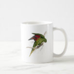El Parrakeet de Maton de Edward Lear Tazas