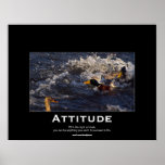 El pato silvestre de la actitud Ducks los posters 
