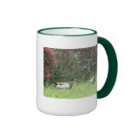 El pato silvestre masculino Ducks la taza