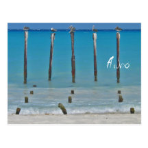 El pelícano fija la postal de Aruba