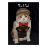 El pequeño gato del caballero en el suéter de Argy Tarjetas