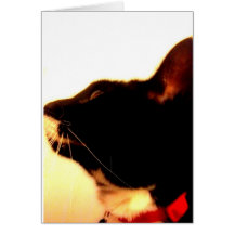 El perfil de Lucy Tarjeta