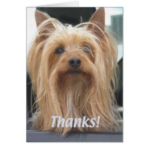 El perrito lindo le agradece cardar felicitación