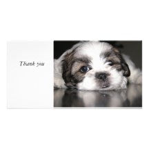 el perrito más lindo nunca, gracias tarjeta fotográfica personalizada