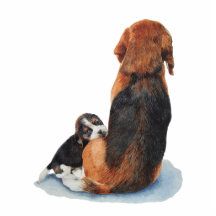 el perrito y la momia lindos del beagle persiguen  escultura fotografica