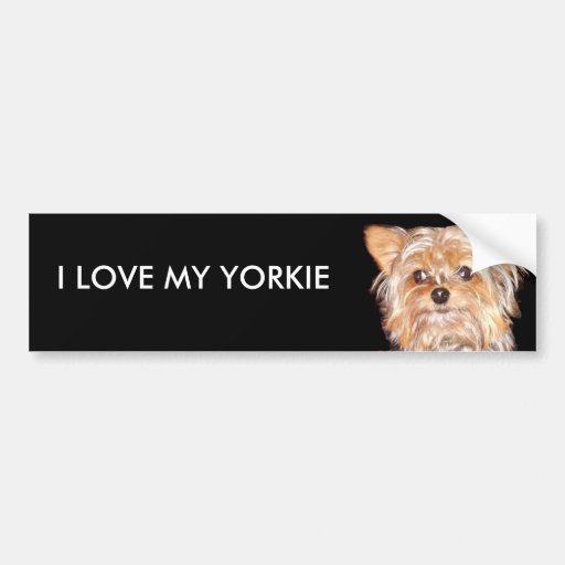 El perro 4, AMO MI YORKIE, pegatina para el parach Etiqueta De Parachoque