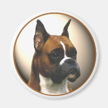 El perro del boxeador imán para frigorífico