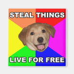 El perro del consejo roba cosas, vive gratis imanes de nevera