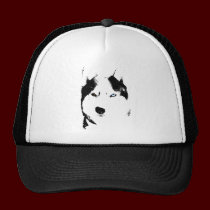 El perro esquimal capsula los regalos de los gorra gorras