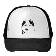 El perro esquimal capsula los regalos de los gorra