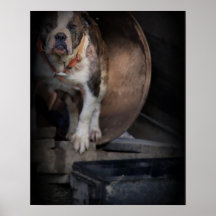 El perro guardián impresiones