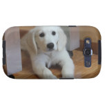 El perro más lindo en el mundo en un caso galaxy s3 cobertura