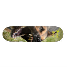 El perro raspa monopatines personalizados