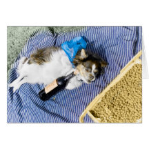El perro tiene su día tarjeton