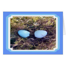 El petirrojo vacío Eggs la tarjeta de felicitación