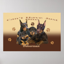 El Pinscher del Doberman no puede tener apenas un 
