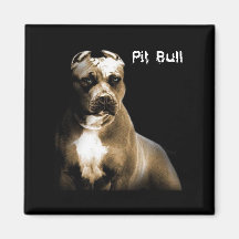 El PITbull Imán De Frigorífico