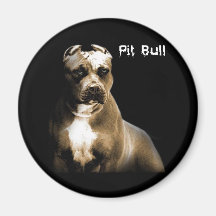 El PITbull Imán De Nevera