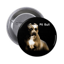 El PITbull Pin