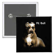 El PITbull Pins