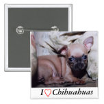 El placer del amante de la chihuahua pins