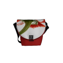EL POCO ARTISTA DE LA PIMIENTA ROJA BAG-ARA BOLSAS MESSENGER