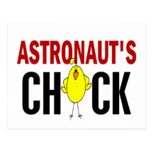 El polluelo del astronauta tarjeta postal