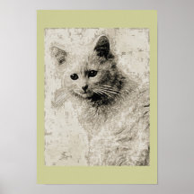 El poster blanco del gato
