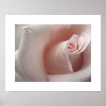 El poster color de rosa rosado
