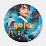 El poster de piedra del filósofo iman