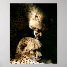 El poster del beso 11x14