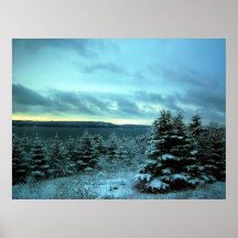 El poster ideal de un invierno