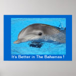 El poster, masopa, mejora en las Bahamas