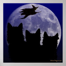 El poster Witching de la hora