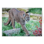 El puma felicitación