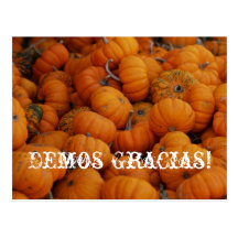 ¡el pumpkn, da gracias! postal